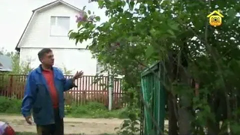 Сирень  Советы от Андрея Туманова ForumHouseTV