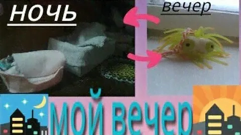 Мой вечер/ужин и тд./Андрей