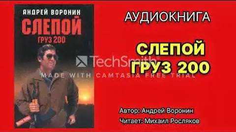 Андрей Воронин. Слепой. Груз 200. Читает: Михаил Росляков. Аудиокнига. Боевик.