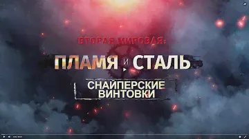 Вторая мировая: пламя и сталь. Снайперские винтовки