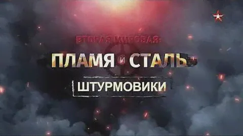 Вторая мировая: пламя и сталь. Штурмовики