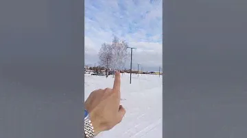 Тюмень, Кореневского 11, ЖК Домашний
