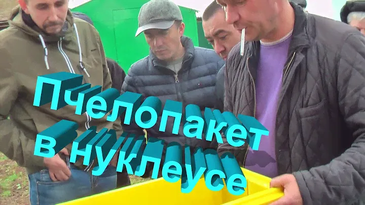 Андрей Макаров о выращивании пчелопакета в ППУ нуклеусах. Беседы на тюменской пасеке