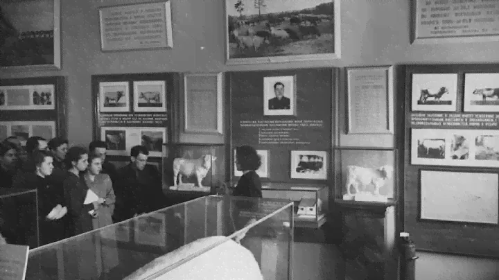 Что московские музеи помнят о тоталитарном прошлом страны?