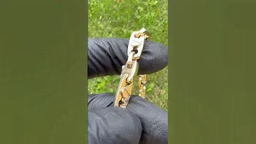 🔥золотая цепь БАРАКА
