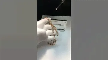 Золотая цепь“Cartier”