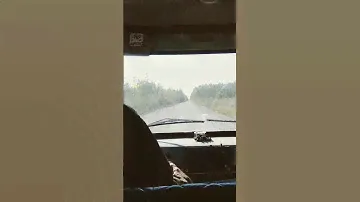 Дорога однa
